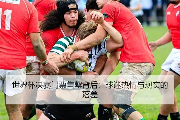 世界杯决赛门票售罄背后：球迷热情与现实的落差